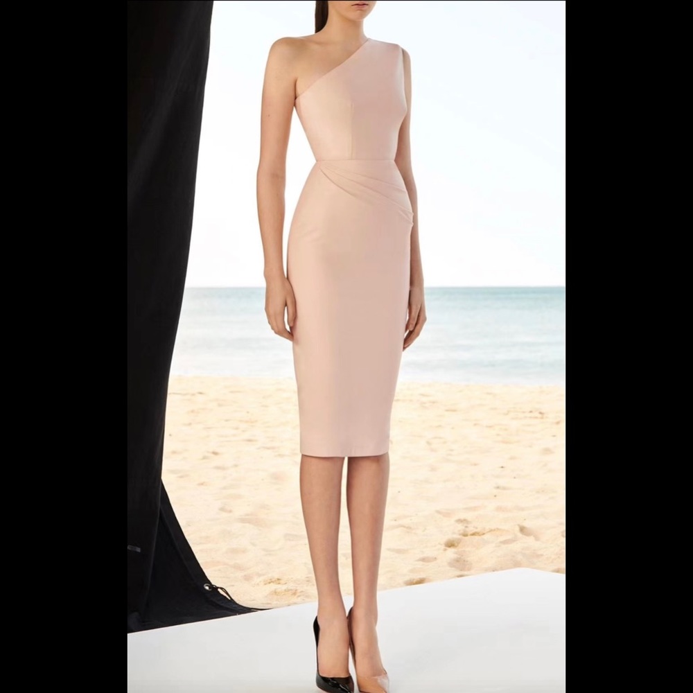 Alex Perry leather dress